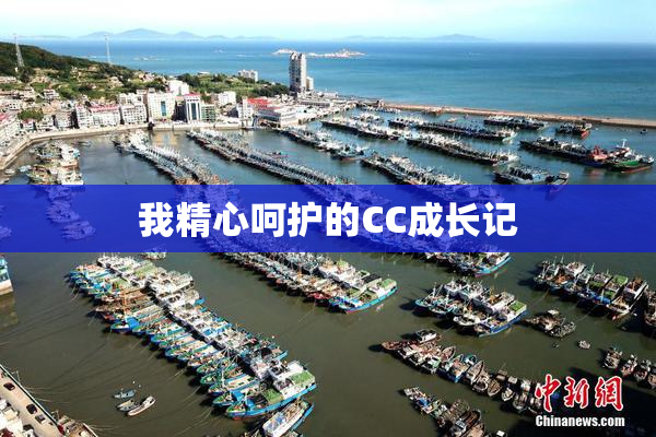 我精心呵护的CC成长记