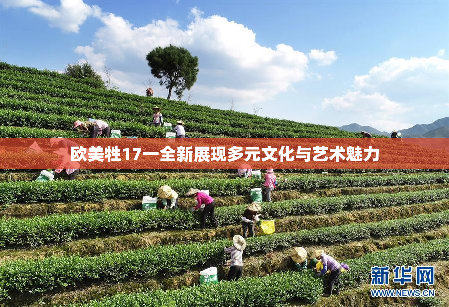 欧美牲17一全新展现多元文化与艺术魅力