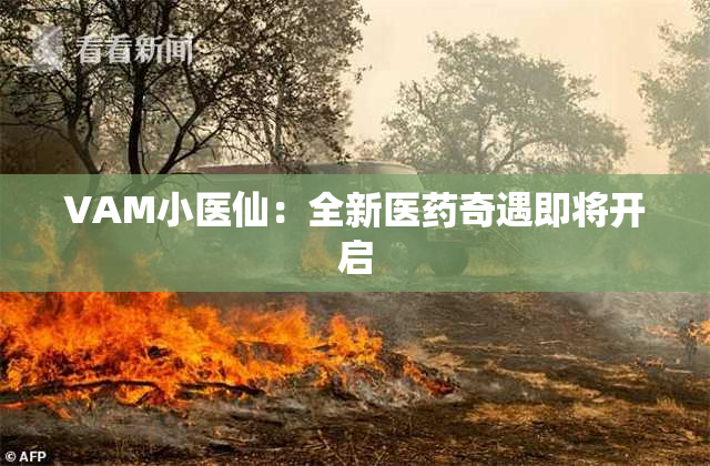 VAM小医仙：全新医药奇遇即将开启