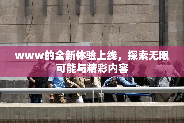 www的全新体验上线，探索无限可能与精彩内容