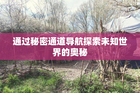 通过秘密通道导航探索未知世界的奥秘