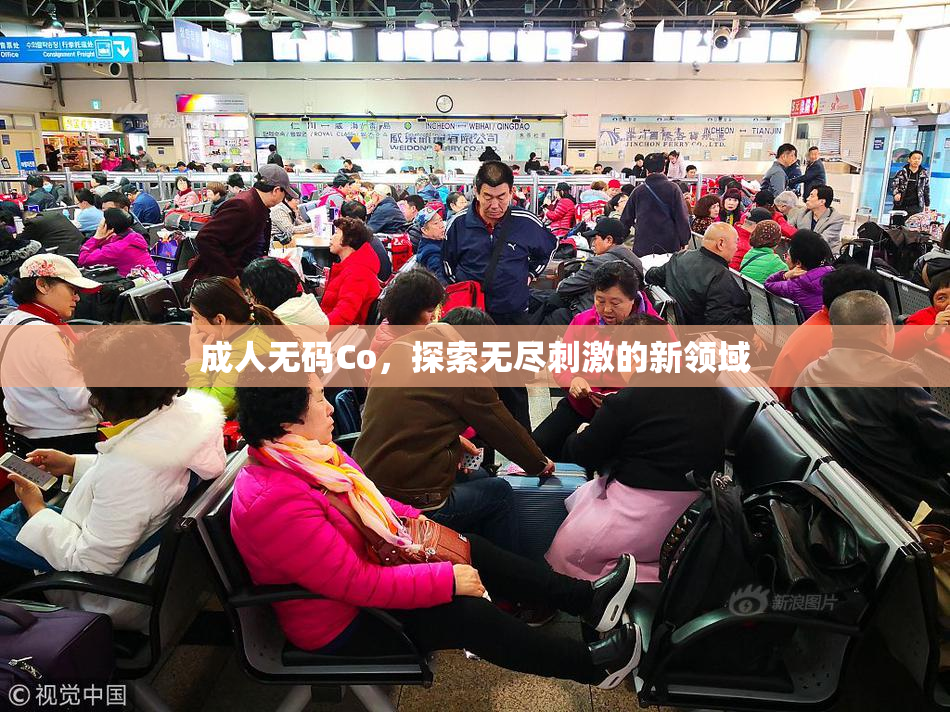 成人无码Co，探索无尽刺激的新领域