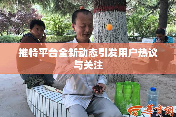 推特平台全新动态引发用户热议与关注