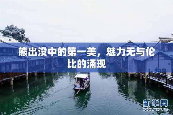 熊出没中的第一美，魅力无与伦比的涌现