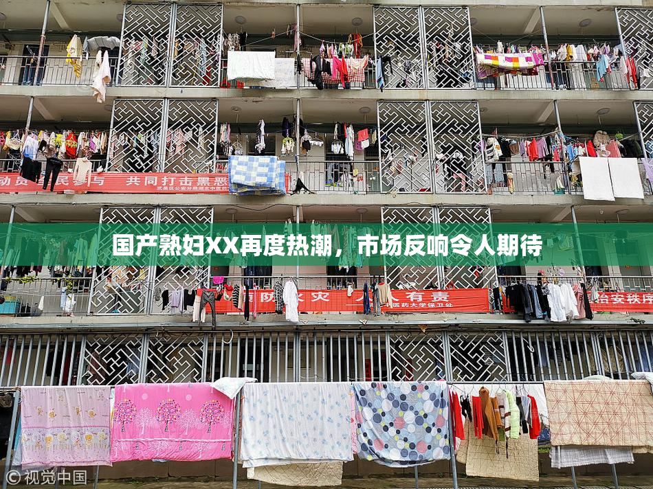 国产熟妇XX再度热潮，市场反响令人期待