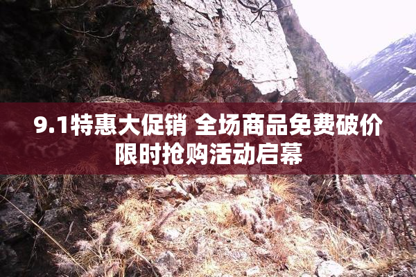 9.1特惠大促销 全场商品免费破价限时抢购活动启幕