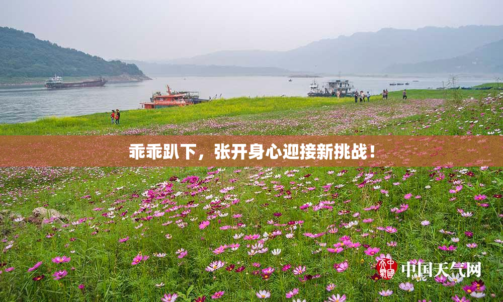 乖乖趴下，张开身心迎接新挑战！
