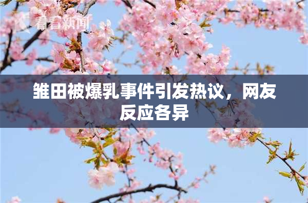 雏田被爆乳事件引发热议，网友反应各异