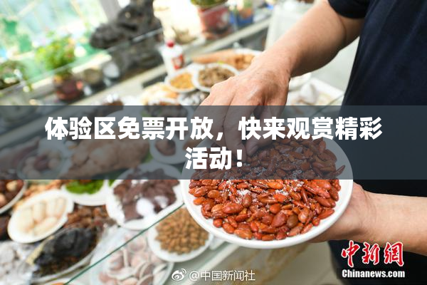 体验区免票开放，快来观赏精彩活动！
