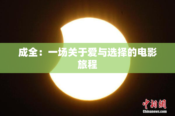 成全：一场关于爱与选择的电影旅程