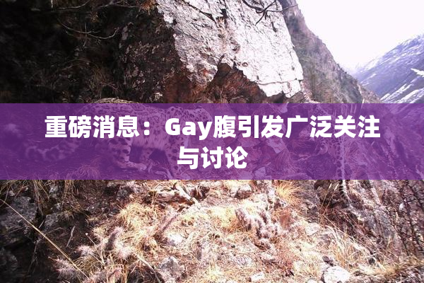 重磅消息：Gay腹引发广泛关注与讨论