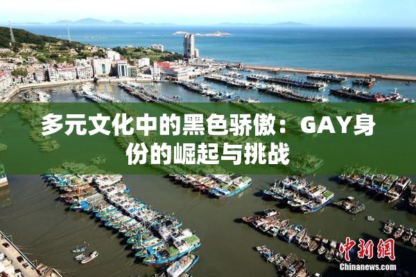 多元文化中的黑色骄傲：GAY身份的崛起与挑战