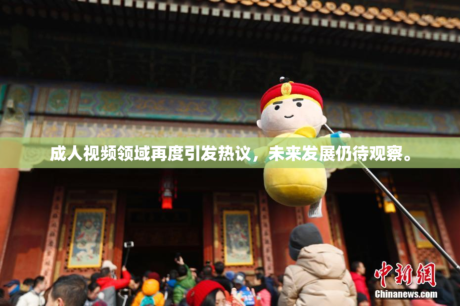 成人视频领域再度引发热议，未来发展仍待观察。
