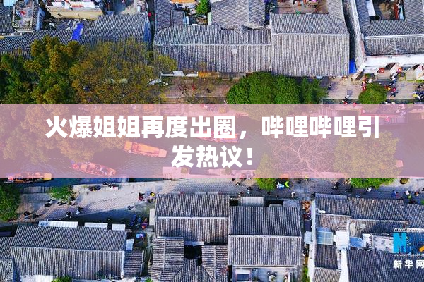 火爆姐姐再度出圈，哔哩哔哩引发热议！