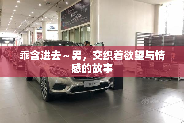 乖含进去～男，交织着欲望与情感的故事