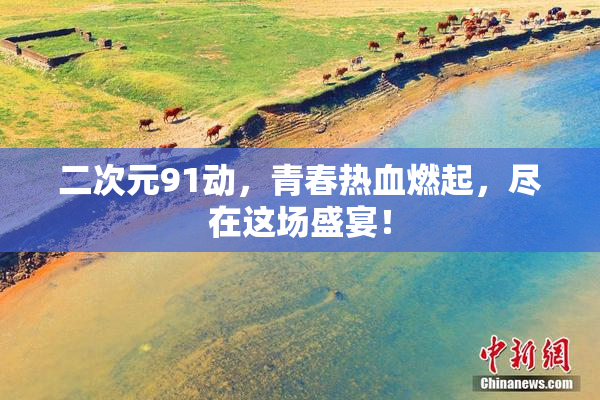 二次元91动，青春热血燃起，尽在这场盛宴！