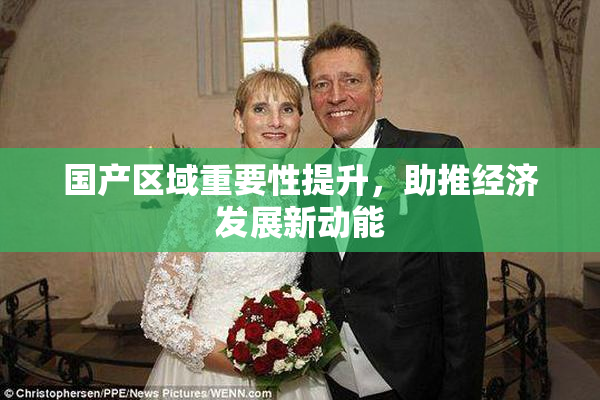 国产区域重要性提升，助推经济发展新动能