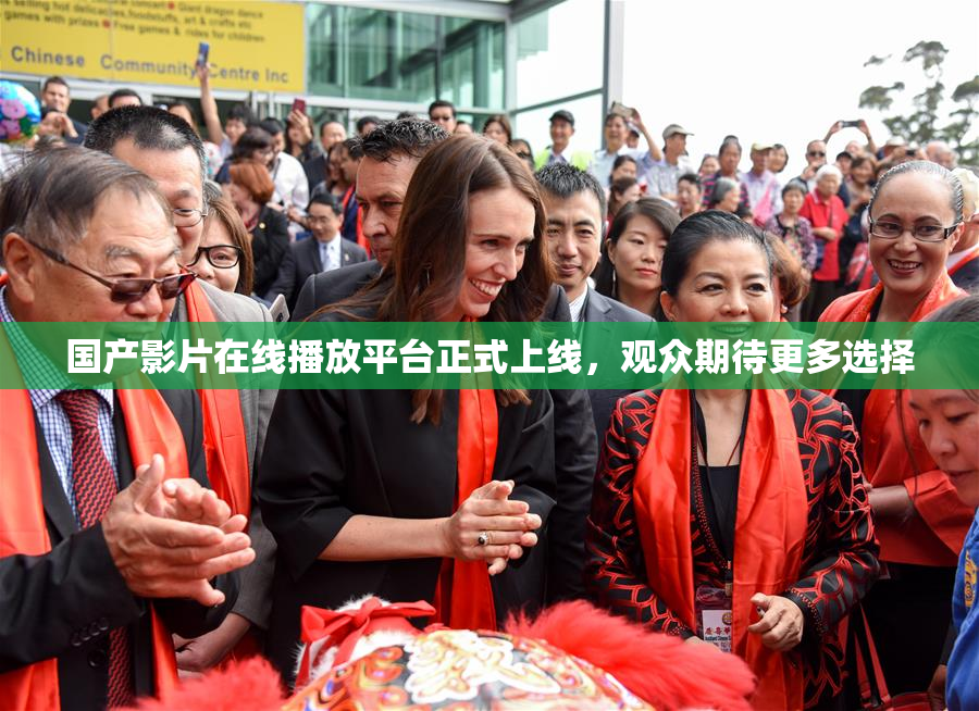 国产影片在线播放平台正式上线，观众期待更多选择