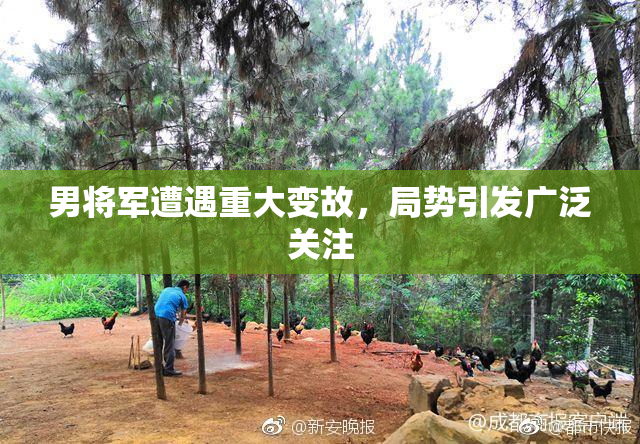 男将军遭遇重大变故，局势引发广泛关注
