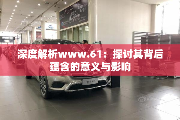 深度解析www.61：探讨其背后蕴含的意义与影响