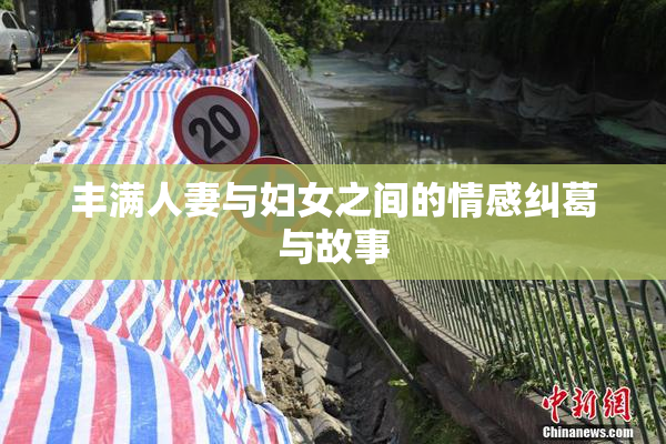 丰满人妻与妇女之间的情感纠葛与故事