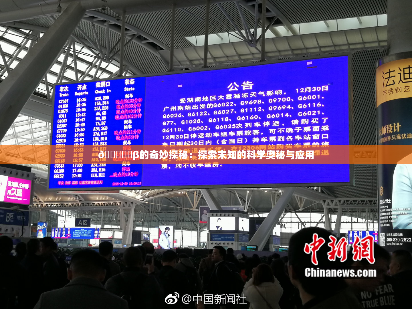 🍆❌‌β的奇妙探秘：探索未知的科学奥秘与应用