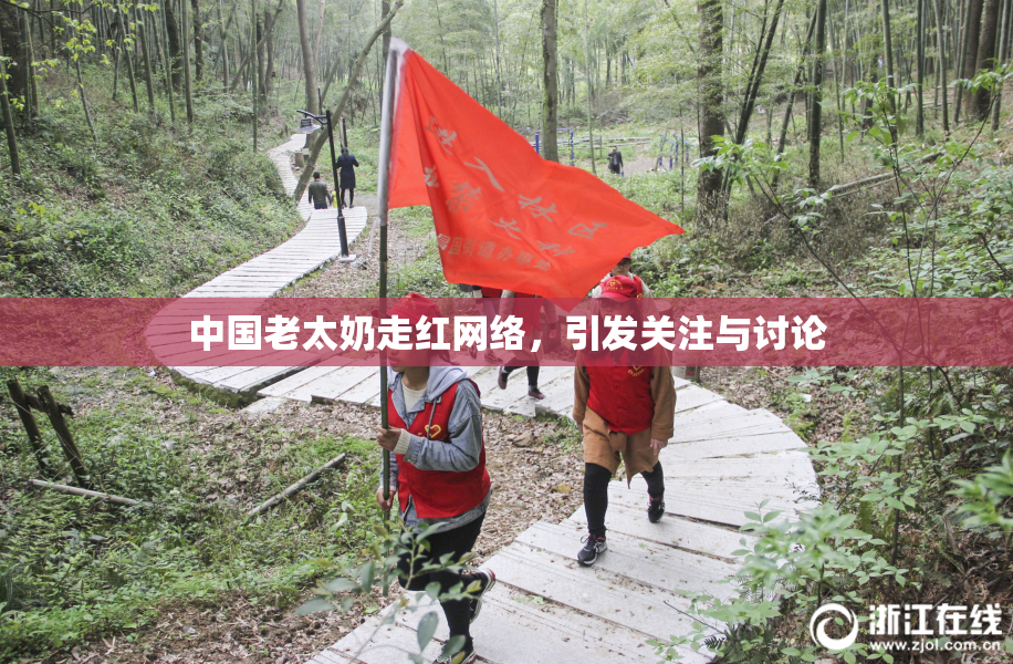 中国老太奶走红网络，引发关注与讨论