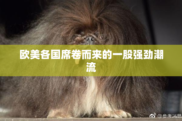 欧美各国席卷而来的一股强劲潮流