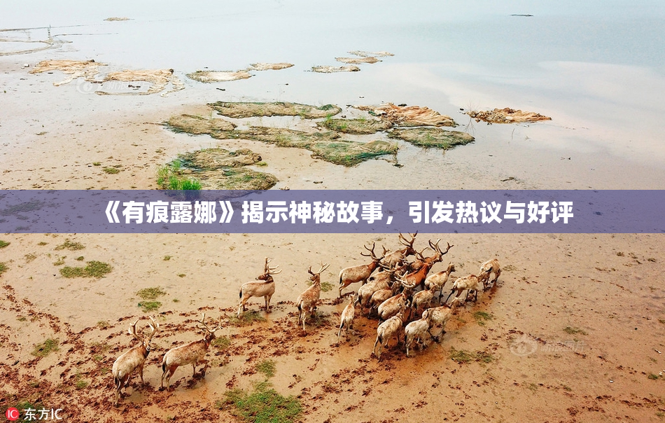 《有痕露娜》揭示神秘故事，引发热议与好评
