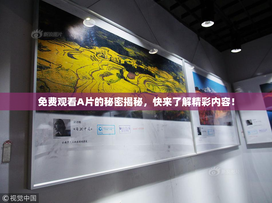 免费观看A片的秘密揭秘，快来了解精彩内容！