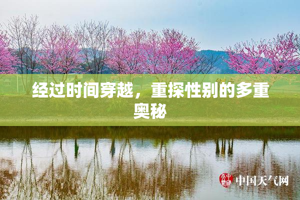 经过时间穿越，重探性别的多重奥秘