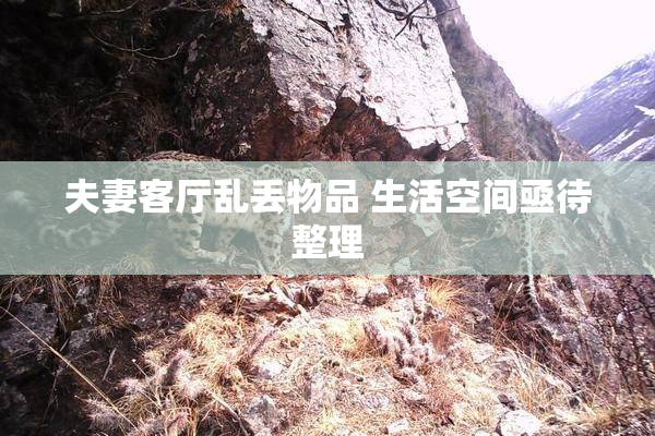 夫妻客厅乱丢物品 生活空间亟待整理