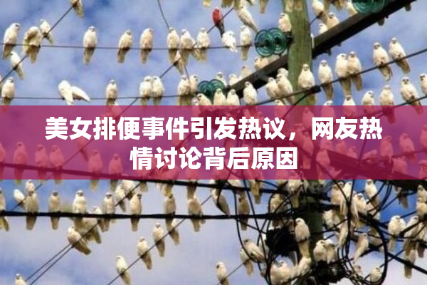 美女排便事件引发热议，网友热情讨论背后原因