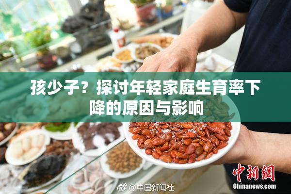孩少子？探讨年轻家庭生育率下降的原因与影响