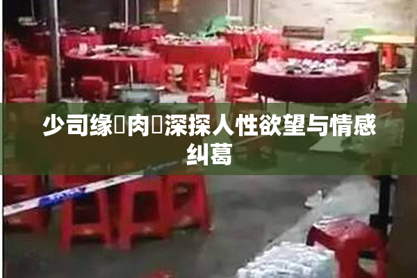 少司缘婬肉泬深探人性欲望与情感纠葛