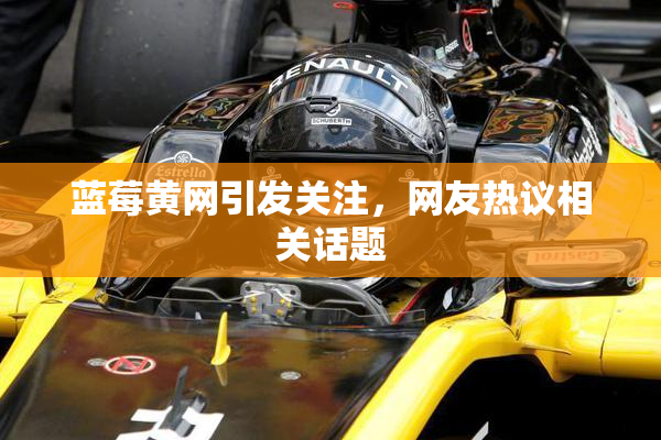 蓝莓黄网引发关注，网友热议相关话题