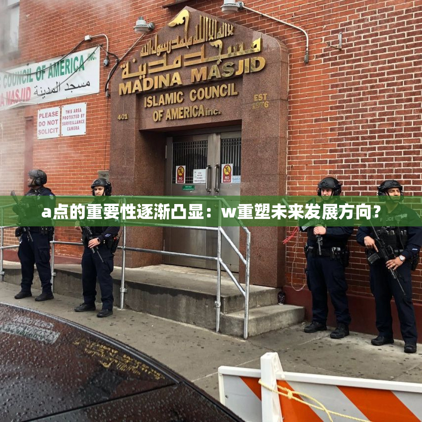 a点的重要性逐渐凸显：w重塑未来发展方向？