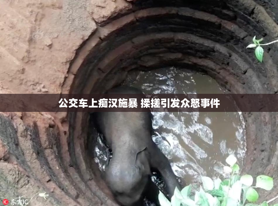 公交车上痴汉施暴 揉搓引发众怒事件