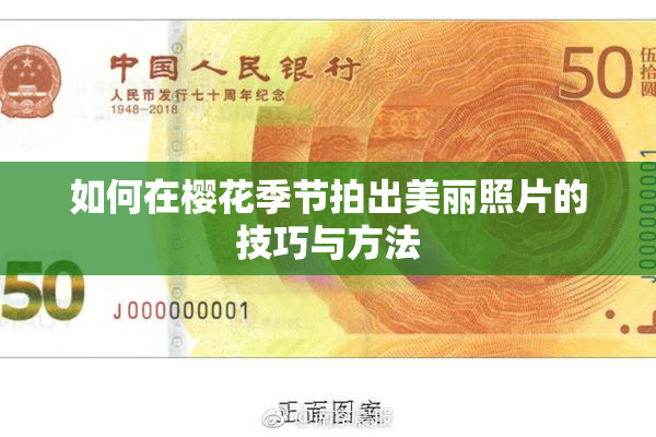 如何在樱花季节拍出美丽照片的技巧与方法