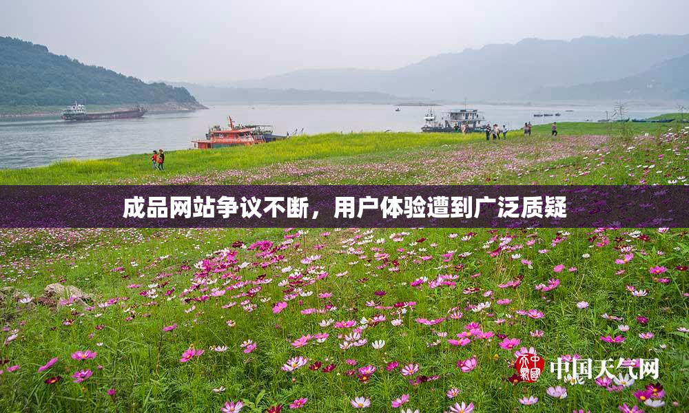 成品网站争议不断，用户体验遭到广泛质疑