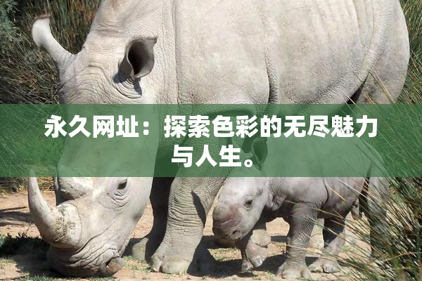 永久网址：探索色彩的无尽魅力与人生。
