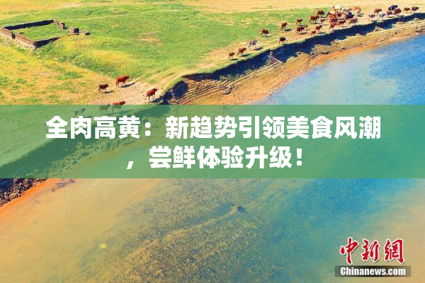 全肉高黄：新趋势引领美食风潮，尝鲜体验升级！