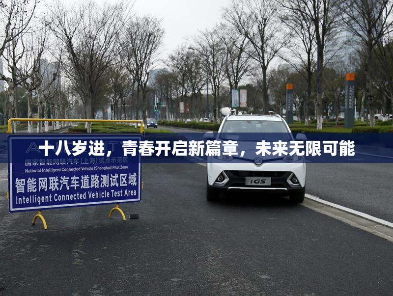 十八岁进，青春开启新篇章，未来无限可能