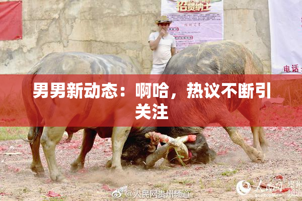 男男新动态：啊哈，热议不断引关注