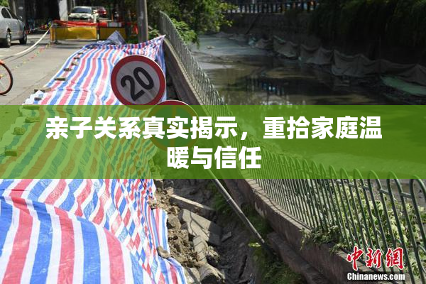 亲子关系真实揭示，重拾家庭温暖与信任