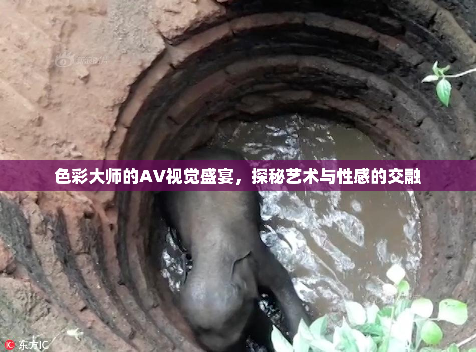色彩大师的AV视觉盛宴，探秘艺术与性感的交融
