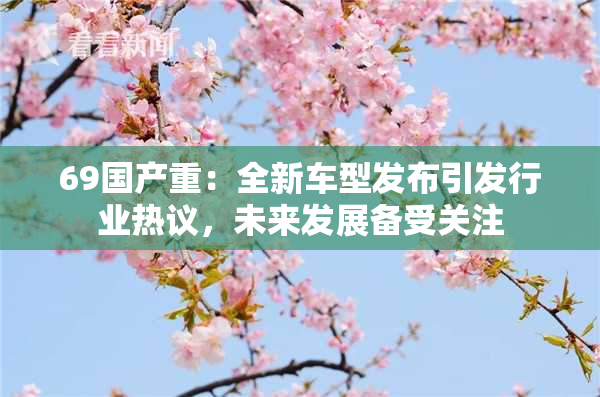69国产重：全新车型发布引发行业热议，未来发展备受关注