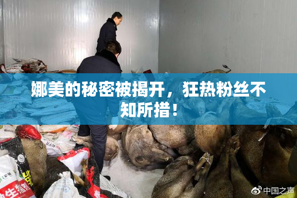娜美的秘密被揭开，狂热粉丝不知所措！