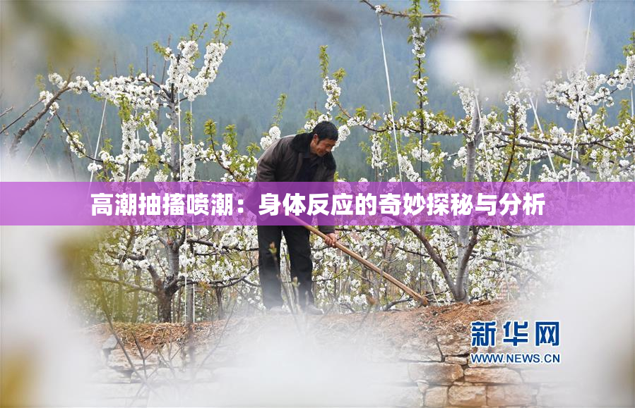 高潮抽搐喷潮：身体反应的奇妙探秘与分析