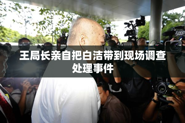 王局长亲自把白洁带到现场调查处理事件